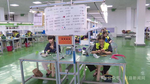 乔云深入兴县帮扶车间调研就业帮扶与易地搬迁后续扶持工作